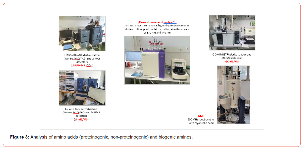 Click here to view Large Figure 3 Insights in Chemistry and Biochemistry